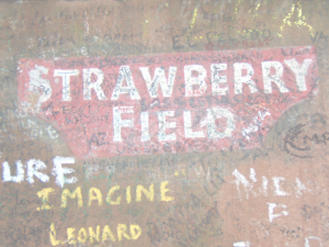 strawberry-fields-hmvvdv